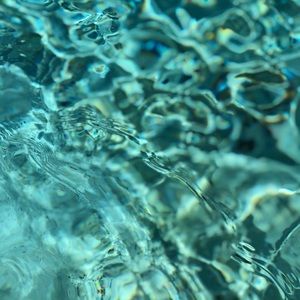 Meet your Posher, Dominika